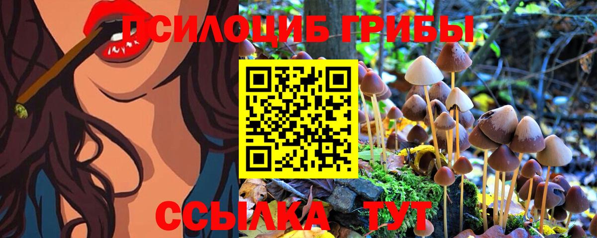 Галлюциногенные грибы Psilocybine cubensis Тула
